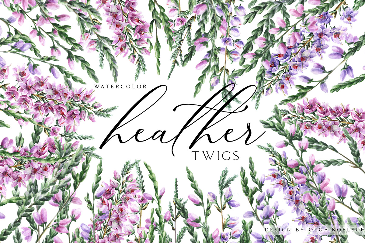 Watercolor Heather illustrations, an Illustration by Olga Koelsch (Photo 1 of 13)