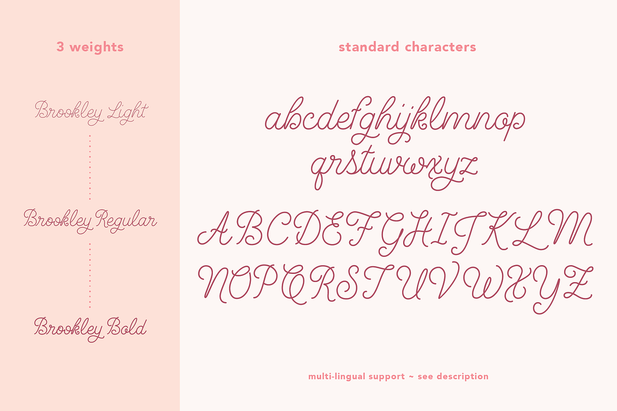 Brookley - Monoline Script Font, a Script Font by Danielle Eneh (Photo 5 of 12)