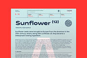 Matahari Sans - Font Family, a Sans Serif Font by Sundance Tipografia (Thumbnail 10 of 22)