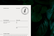 Floral Logo Graphics Bundle, a Decorative Illustration by Kin Design (Thumbnail 10 of 11)