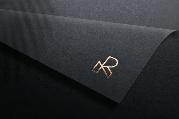 Monogram R Letter Logo Design preview 6
