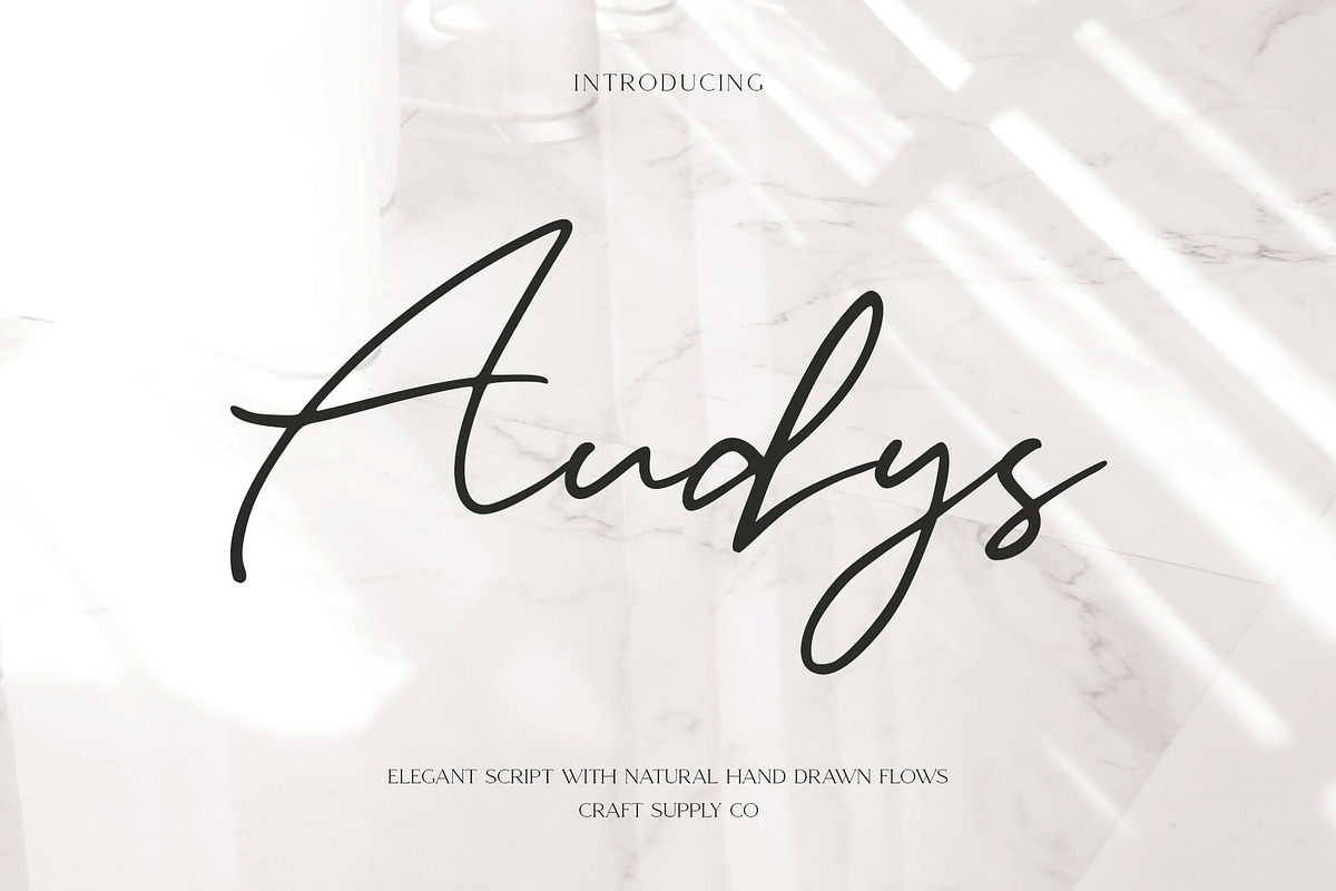Audys - Elegant Script Font, a Script Font by Craft Supply Co. (Photo 1 of 9)