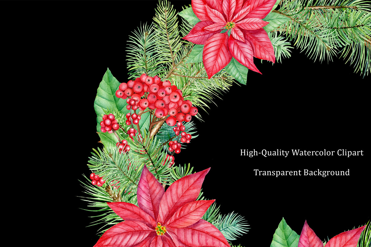 Christmas Red Poinsettia PNG, an Illustration by svetodesign (Photo 4 of 5)