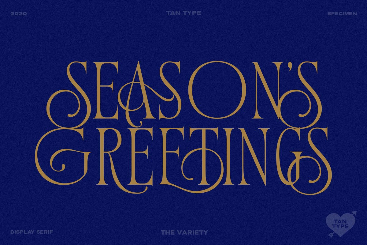 TAN - Variety, a Serif Font by TanType (Photo 6 of 26)