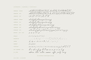 Birch Paper // Handwritten Font, a Script Font by PeachCreme (Thumbnail 14 of 14)