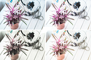 Blogger Lightroom Presets Vol I, an Action Add-On by Filtercrave (Thumbnail 4 of 9)