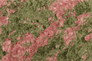 Unakite slab texture, a Nature Photo by Mockup Bureau
