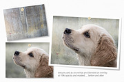 Pastel Textured Walls, a Texture Graphic by rileyBgraphics (Thumbnail 3 of 8)