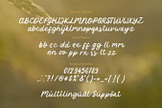 Oryza Sativa - Organic Font Duo, a Font by Orenari (Thumbnail 13 of 15)