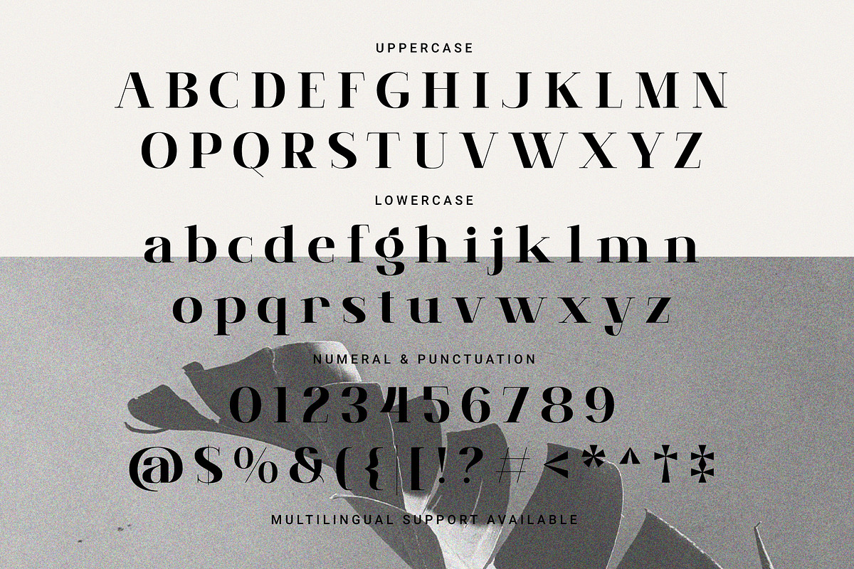 Brume Matinale, a Serif Font by Prioritype Co (Photo 9 of 9)