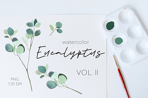 Eucalyptus vol.Il