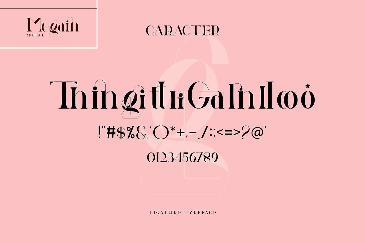 Megain Ligature Serif Typeface, a Serif Font by Humaira_std (Photo 13 of 14)