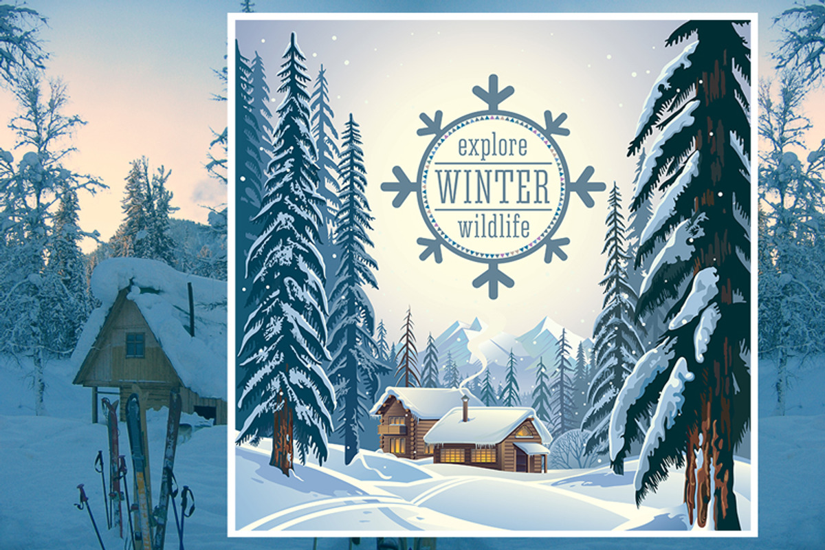 Winter forest landscape, an Illustration by Countryside life (Photo 3 of 7)
