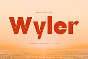 Wyler Sans Serif Font, a Sans Serif Font by Catalystco Studio (Thumbnail 1 of 7)
