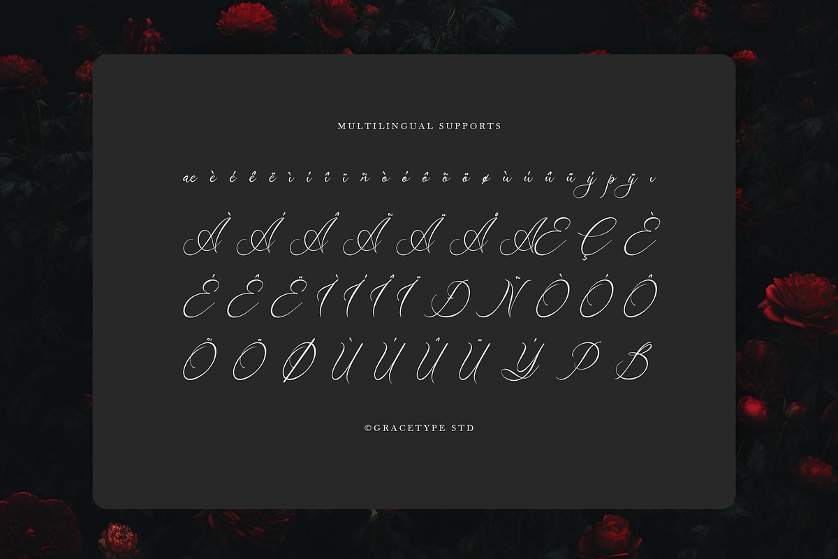 Avilantery Elegant Calligraphy, a Script Font by gracetype_studio (Photo 11 of 12)