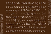 Bordie Pixel, a Sans Serif Font by Craft Supply Co. (Thumbnail 8 of 8)
