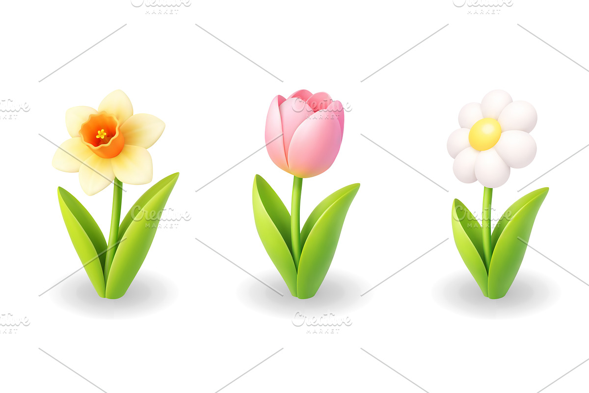 Daffodil, tulip and daisy flowers, an Object Illustration by GraphiShop