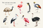 Birds Watercolor Painted Set, an Animal Illustration by AnitaPol (Thumbnail 4 of 18)