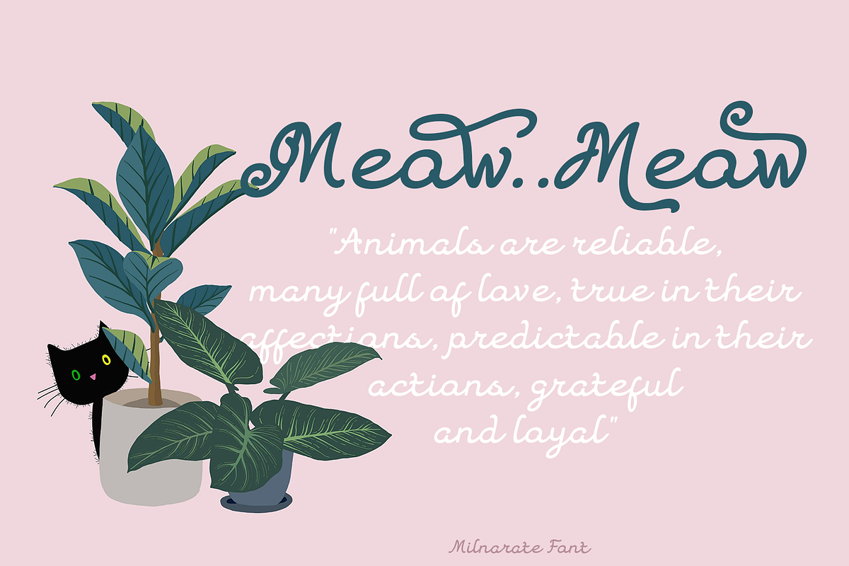 Milnarate Monoline Script, a Script Font by madeDeduk (Photo 5 of 8)