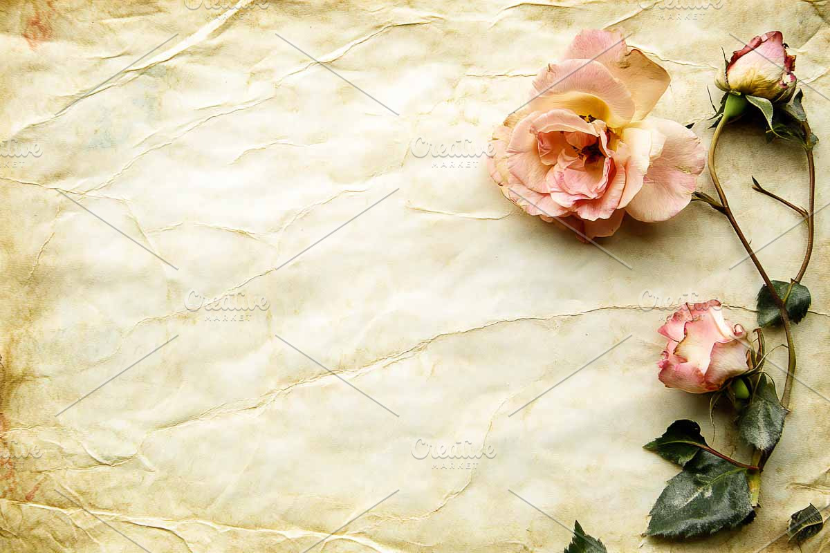 Vintage Paper Cards with Flowers, a Graphic by VetalStock (Photo 2 of 5)