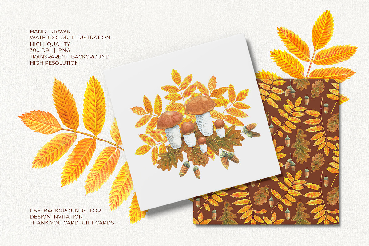 Autumn Woodland Watercolor, a Seasonal Illustration by YarovaArt (Photo 11 of 15)