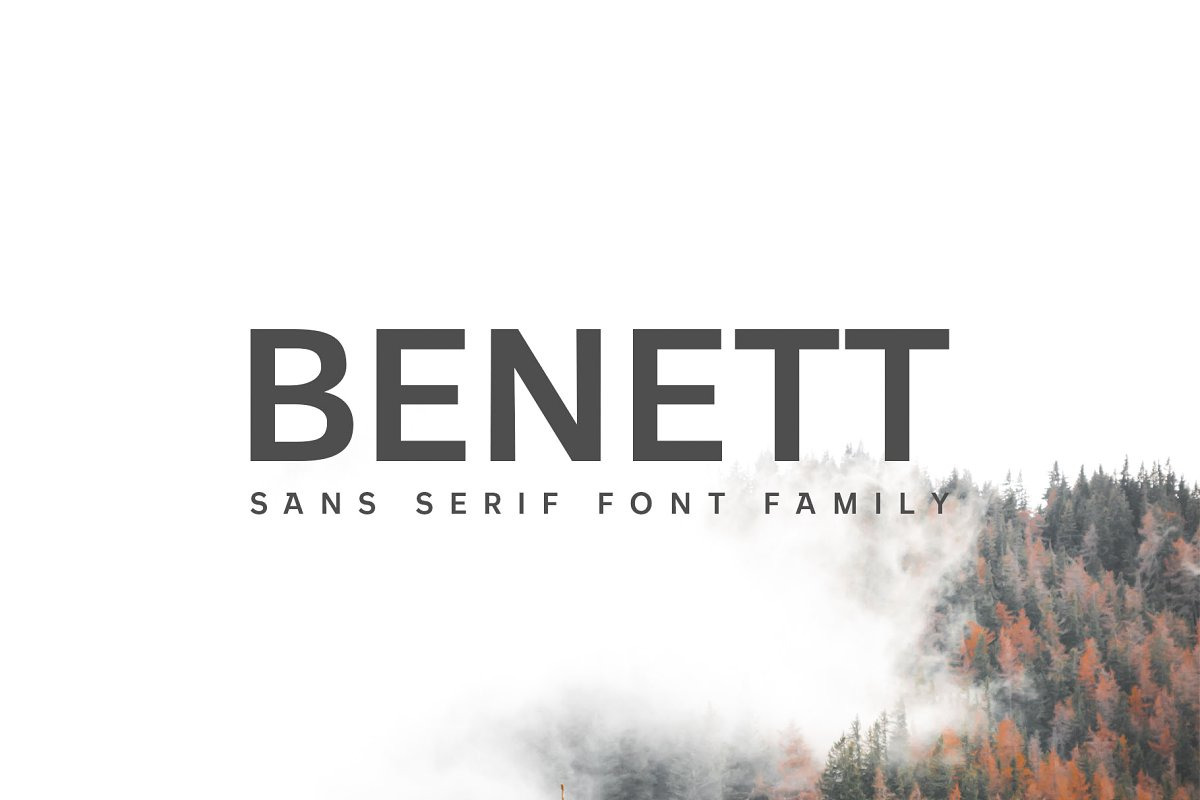 Designer's Type - Sans Serif Bundle!, a Sans Serif Font by Creativetacos (Photo 14 of 36)
