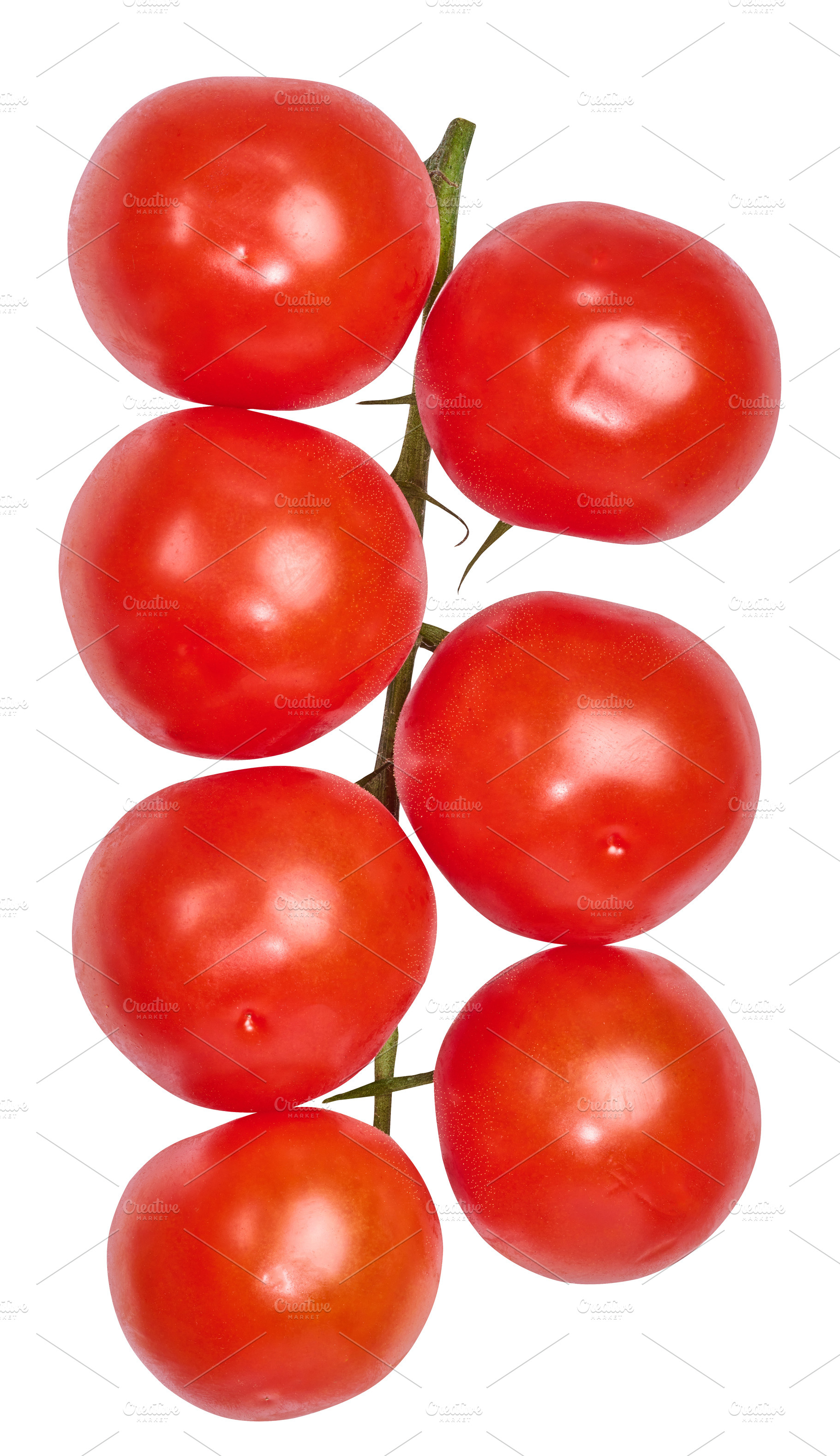 Fresh cherry tomatoes on the vine, isolated background. Juicy re, a Food & Drink Photo by ndanko