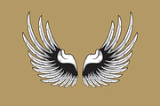 160 Pairs of Vector Wings, an Object Graphic by Damien (Thumbnail 7 of 17)