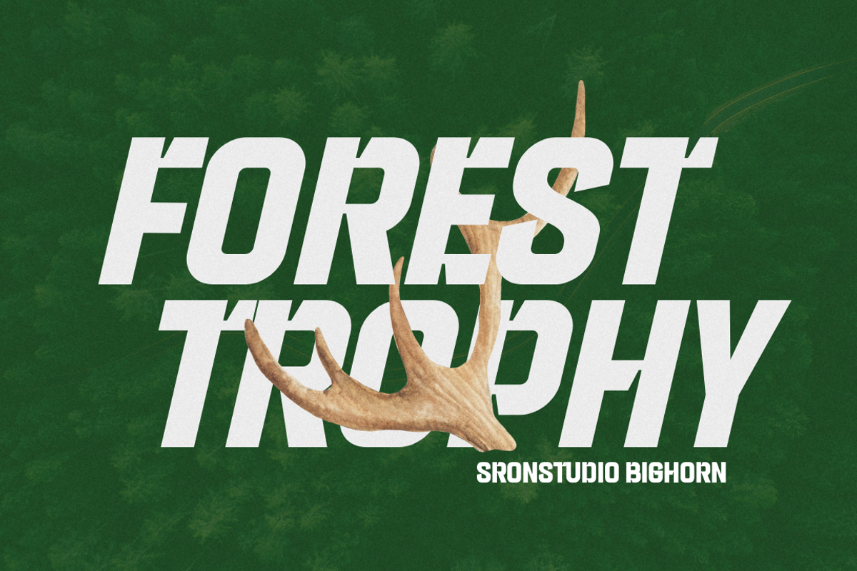 Bighorn - Bold Strong Font, a Sans Serif Font by Sronstudio (Photo 5 of 12)