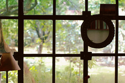 Beyond the window glass IV