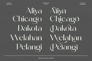 Belanciaga - Modern Sans Serif