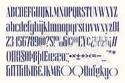 Brozeri - Casual Serif Family, a Serif Font by Arterfak Project (Thumbnail 13 of 14)