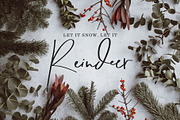 Kentucky Font, a Script Font by Flycatcher Design (Thumbnail 7 of 8)
