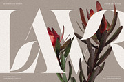 Raving Display Editorial Serif Font, a Serif Font by SilverStag Type Foundry (Thumbnail 3 of 30)