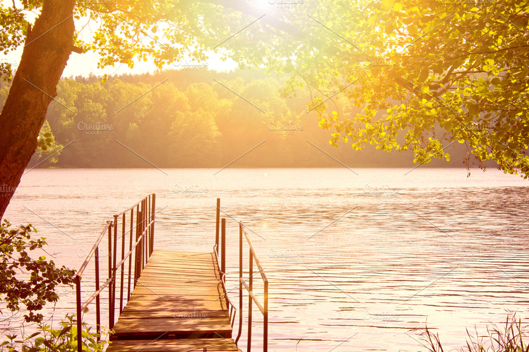 Lake at summer stock photo containing nature and lake, a Nature Photo by Milosz Aniol