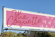 Velmira - Signature Script Typeface, a Font by Indotype Foundry (Thumbnail 9 of 10)
