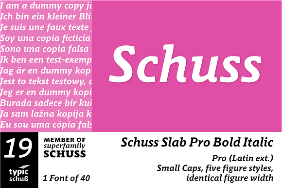 SchussSlabProBoldIta No.19 (1 Font) preview 6
