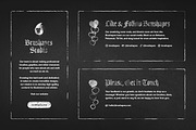 Midnight Chalk Illustrator Brushes, a Brush Add-On by brushapes.com (Thumbnail 7 of 7)