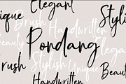 Pondang Brush, a Script Font by Realtype (Thumbnail 8 of 9)