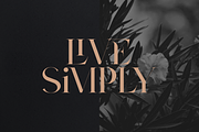 Type Prodigy - serif logo font, a Serif Font by VP Fonts (Thumbnail 15 of 24)