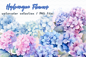 Hydrangea Flowers Watercolor Clipart