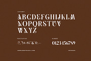 Wagen Unique Serif Font, a Serif Font by Graphicxell (Thumbnail 7 of 8)