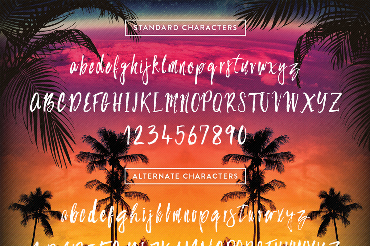 Bahamas Brush Font, a Script Font by Ivan Rosenberg (Photo 6 of 6)