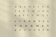 Amonty Contrast Serif Font, a Serif Font by Graphicxell (Thumbnail 8 of 8)