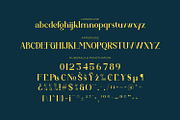 Auronix, a Serif Font by Rishsketch (Thumbnail 14 of 15)