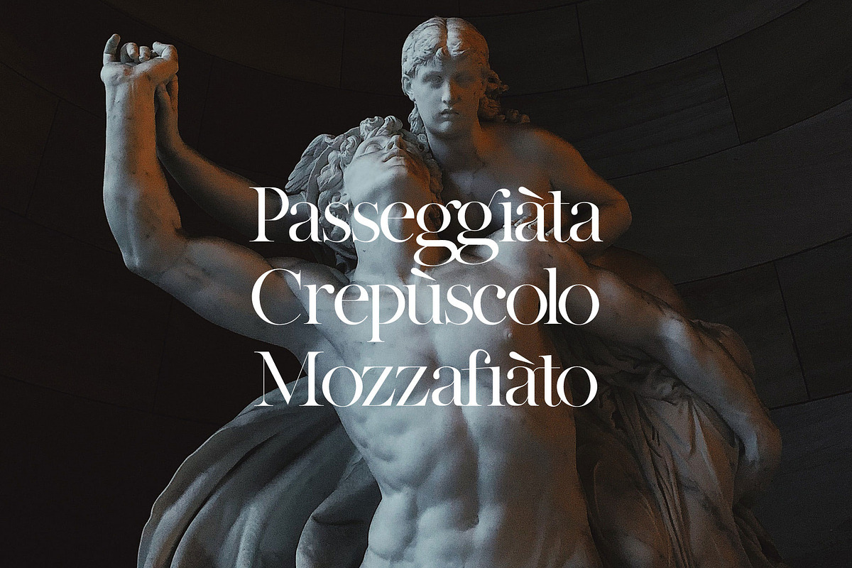 Par Realisation - Serif Typeface, a Serif Font by TypeMaison (Photo 14 of 14)