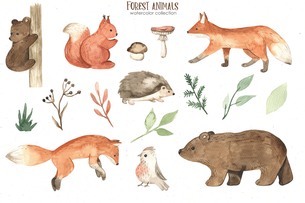 Forest animals watercolor, an Animal Illustration by Marina Ermakova (Photo 2 of 13)