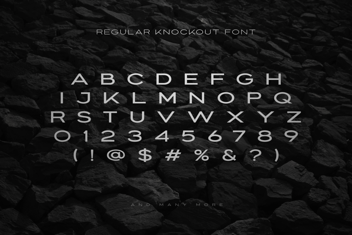 Knockout - Extended Font Family, a Sans Serif Font by Sensatype (Photo 22 of 25)