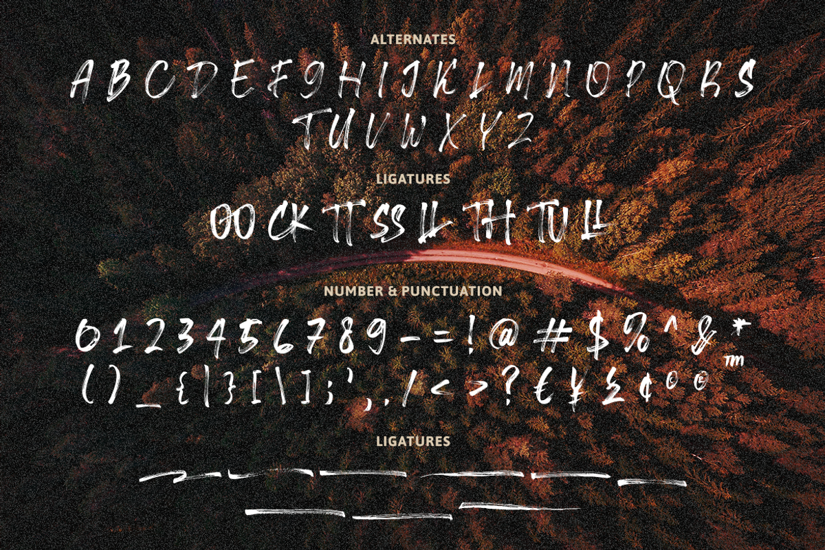 Rockfull Capital Brush, a Script Font by Creatype Studio (Photo 6 of 9)