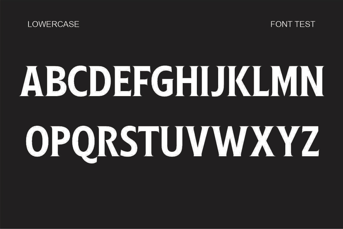 Ginfitanle, a Serif Font by studiobasic (Photo 6 of 11)